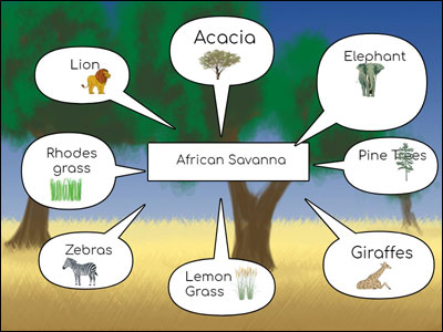 sample of a student cluster organizer for the savanna grassland habitat