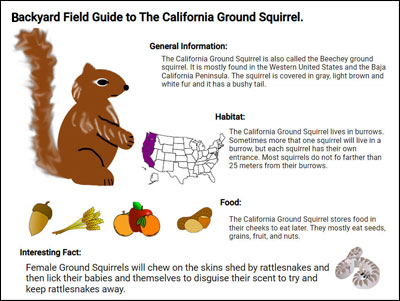 image of student argument structure for a class trip to a local nature park.